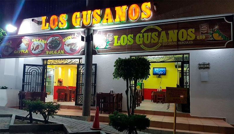 img-Tacos-en-Querétaro-Taquería-Los-Gusanos